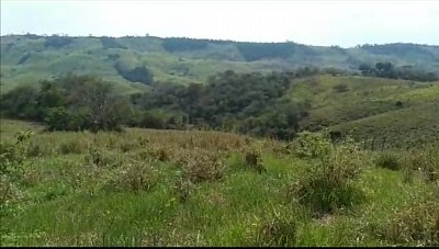 Amplia llanura de pastizales y potreros para 100 cabezas de ganado