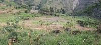 TERRENO RUSTICO DE 15 HECTARES EN SECTOR CRUZ GRANDE EN JAEN